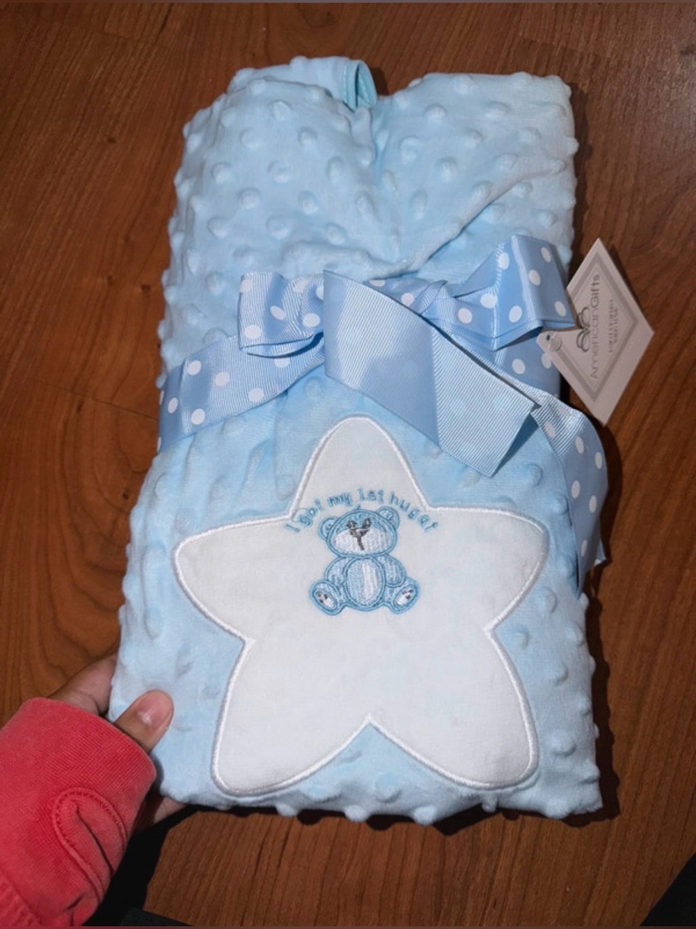 Soft Blue Baby Minky Blanket with Star & Bear Embroidery baby blanket